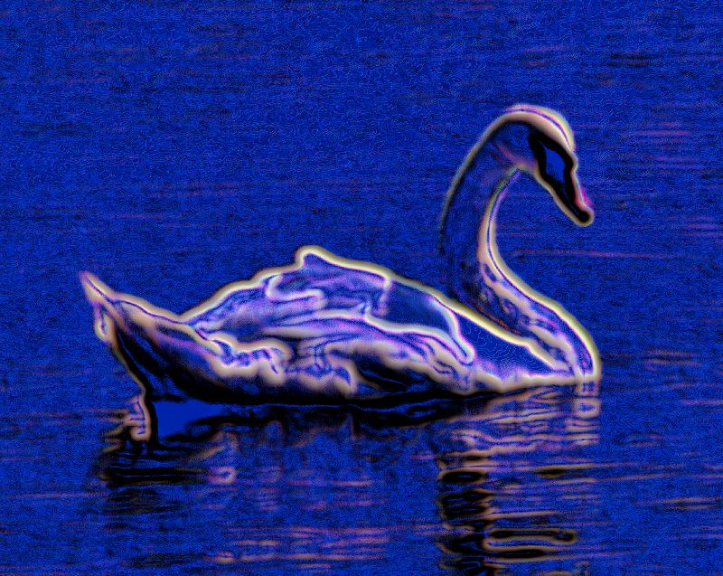 Electric swan - by Tony Karp