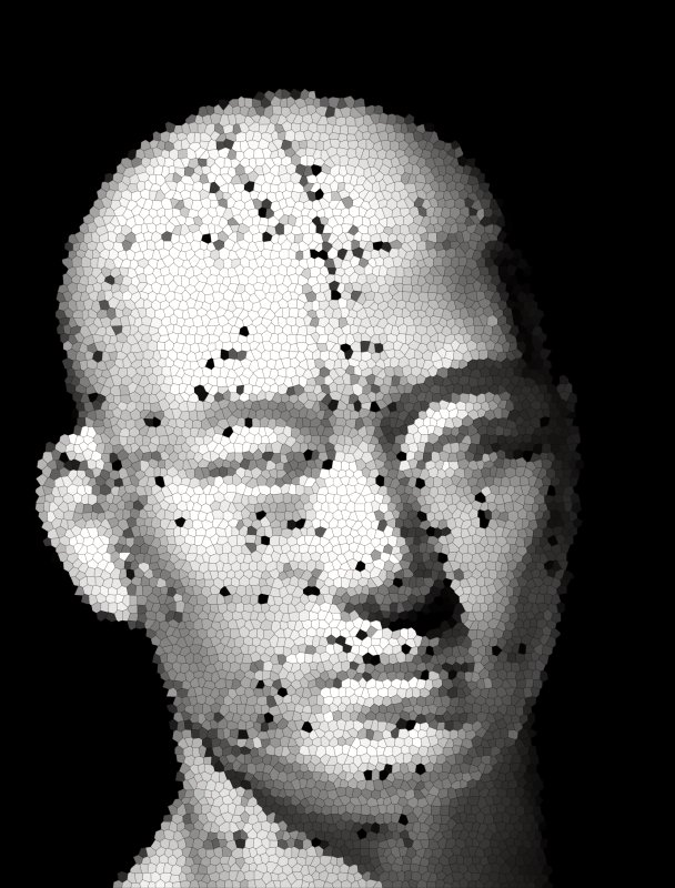 Pinhead Reticulated - by Tony Karp